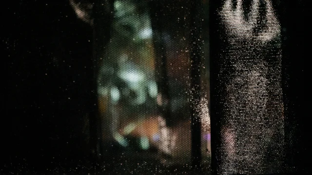 Metamorphopsia — Physical model
